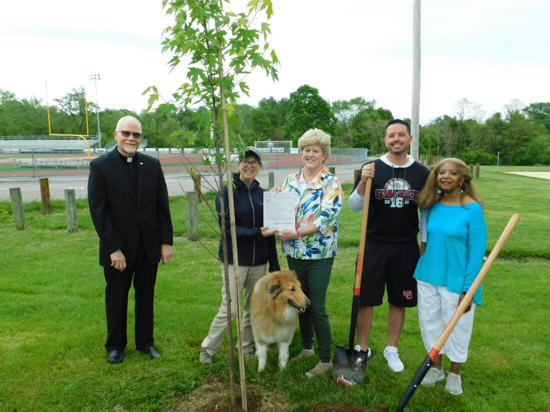 St. C. marks 24th year as a Tree City News, Sports, Jobs The Times